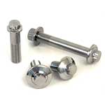 Hastelloy C22 12 Point Bolts