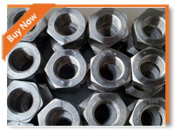 Fasteners Incoloy 800