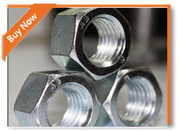 Incoloy 800 1.4876 Hex Nuts