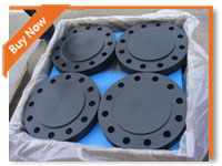 Carbon Steel Flange ASTM A105 