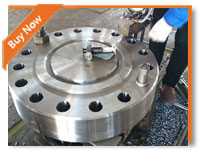 ANSI B16.9 Blind Flange Carbon Steel Forged Flange 