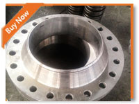 ANSI BS DIN En1092-1 JIS Carbon Steel Flange 