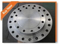Blind Flange (BL) Carbon Steel Forged Flange 
