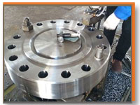 Duplex Steel Clss300 Stainless Steel Forging Flange