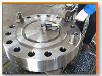 Hastelloy b Blind Flange of SYI FLANGES