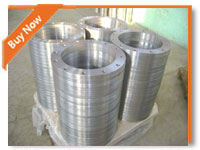 304 316 Forged Stainless Steel ansi standard fitting flange