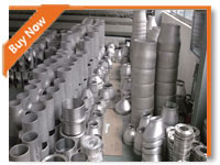 Stainless Steel AISI 304 / 304L Pipe Fittings Tube End Caps