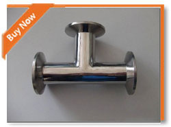 1/8 Stainless Steel 304 DIN2999 150lb Pipe Fittings