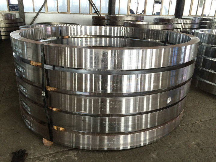 Stainless Steel Forged Flanges