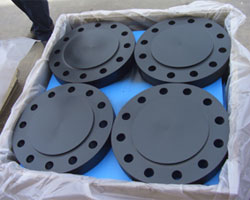 ASTM A105 Carbon Steel Flanges Suppliers in Indonesia 