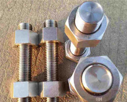 ASTM A193 Stainless Steel 317 Fasteners Suppliers in Iraq 